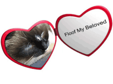 a heart shaped mirror says floof my beloved