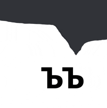 a black and white image of a cliff with the letter b on it