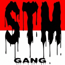 a red white and black logo for the stun gang