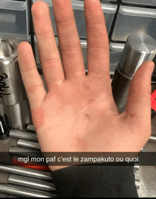 a person 's hand is shown with the caption mgl mon paf c ' est le zampakuto ou quoi