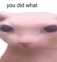 a pixelated image of a person 's face with the words " you did what " above it