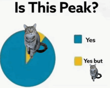 a pie chart with a cat on it and the question " is this peak " at the top
