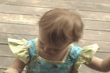 a little girl wearing a blue and green dress is standing on a wooden deck with the words " the landlord " on the bottom right