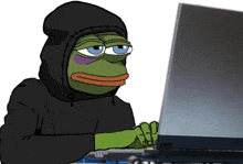 a frog wearing a black hoodie is typing on a laptop computer