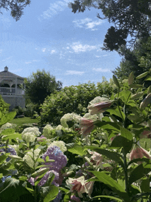 a gazebo is visible behind a bush of flowers