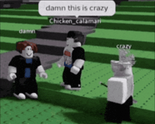 a group of roblox characters are standing in a field and one of them is saying damn this is crazy
