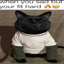 a black cat wearing a white shirt and green sleeves with the caption when you sad but your fit hard