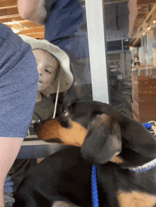 a boy wearing a hat looks out a window at a dog that is looking at him