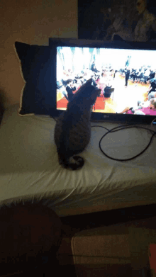 a cat is sitting on a bed in front of an lg television