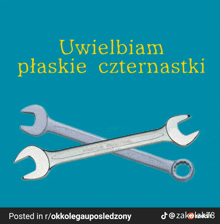 two wrenches are crossed on a blue background with the words " uwielbiam płaskie czernastki "