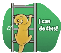 a cartoon of a squirrel climbing a ladder with the words " i can do this "