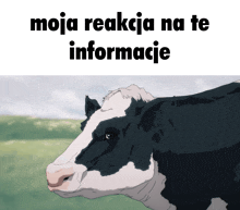 a black and white cow with the words moja reakcja na te informacje