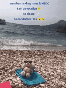 a teddy bear wearing sunglasses sits on a towel on a rocky beach