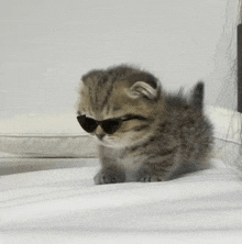 a small kitten wearing sunglasses is sitting on top of a bed .