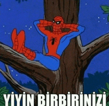 a cartoon of spider man sitting in a tree branch