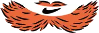 a drawing of a tiger 's wings with a nike logo