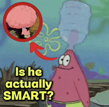 a cartoon of patrick star with the words is he actually smart on the bottom