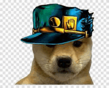 a dog is wearing a hat from jojo 's bizarre adventure .