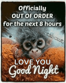 a picture of a monkey with a message that says `` officially out of order for the next 8 hours love you good night ''