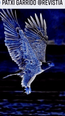 a blue eagle is flying in the night sky