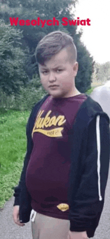 a young boy wearing a hoodie and a t-shirt is standing on a sidewalk .