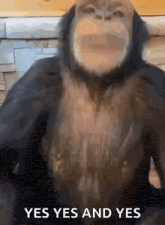 a close up of a monkey with the words yes yes and yes written on the bottom