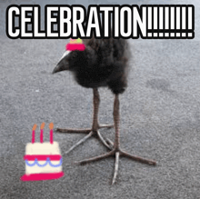 a bird wearing a party hat is standing next to a birthday cake with candles ..