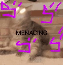 a cat is laying on the floor with the word menacing written in purple