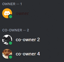 a screenshot of a discord conversation between co-owners 1 2 and 4