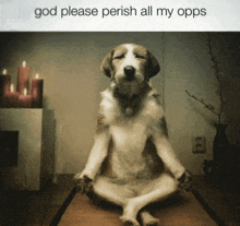 a dog sitting in a lotus position with the words god please perish all my opps written above it