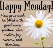 a happy monday message with a daisy and a quote .