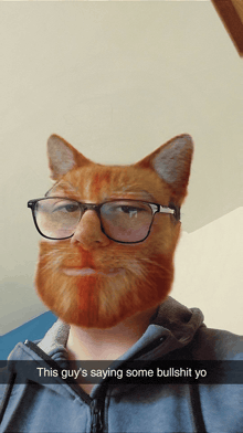 a man with glasses and a cat on his face