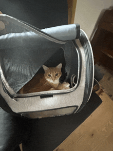 a cat is sitting in a carrier that looks like a vr headset