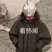 a man wearing a mask and a black jacket is standing in front of a rock .