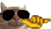 a cat is wearing sunglasses and holding a banana .