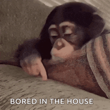 a baby chimpanzee is laying on a blanket and pointing at something .