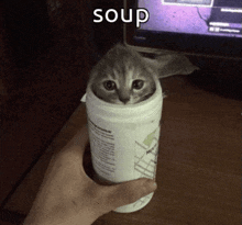 a person is holding a bottle of soup with a cat in it .