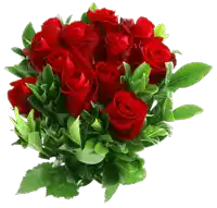 a bouquet of red roses surrounded by green leaves