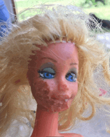 a close up of a barbie doll 's face with a lot of hair