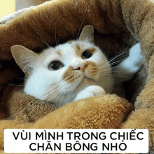 a cat is wrapped in a brown blanket with a sign above it that says vui minh trong chiec chan bong nho