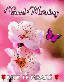 a butterfly is flying over a pink flower with the words good morning