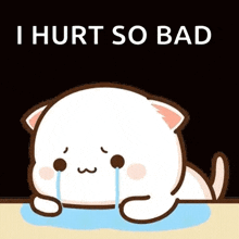 a cartoon cat is crying with tears coming out of its eyes and the words `` i hurt so bad '' .