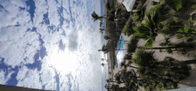 the sun is shining through the clouds over a swimming pool surrounded by palm trees