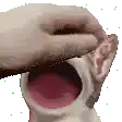 a close up of a person covering a cat 's face with a hand .