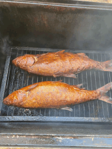 two fish are being cooked on a grill with smoke coming out of them