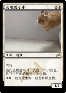 a card with a picture of a rabbit and chinese writing on it