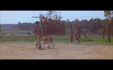 a man walking a dog on a dirt road with a fence in the background