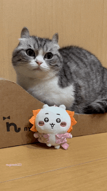 a cat and a stuffed animal are sitting next to a cardboard box that says n on it