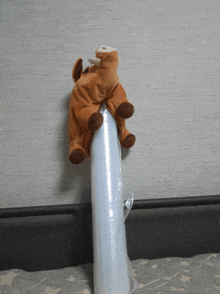 a stuffed animal is sitting on top of a clear plastic tube