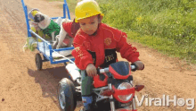 a young boy wearing a hard hat is riding a toy motorcycle pulling a cart with two pugs in it